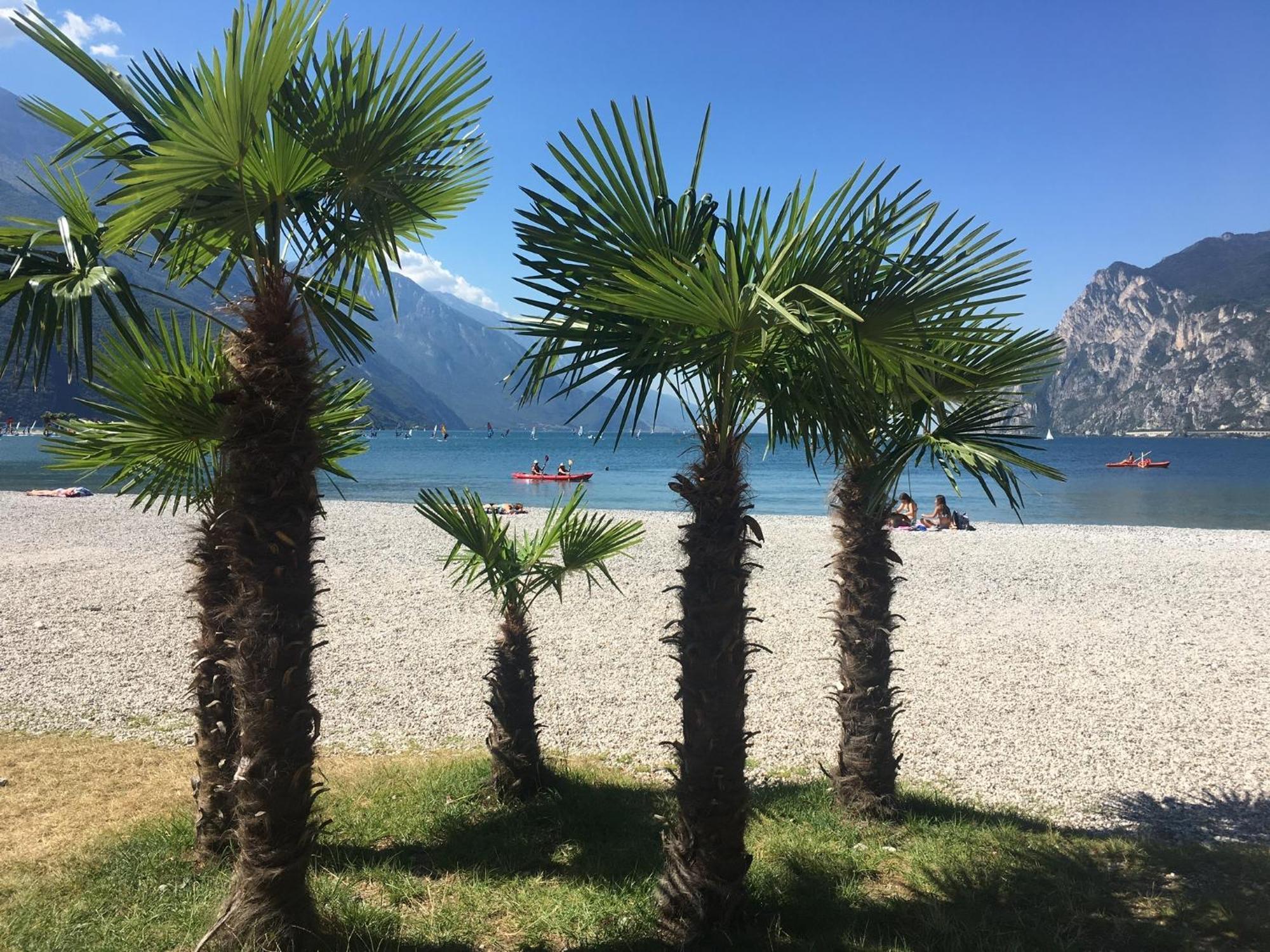 Outdooredo Garda Torbole Torbole Sul Garda Extérieur photo